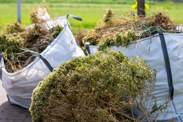 Best Household Junk Removal  in Jacksonwald, PA