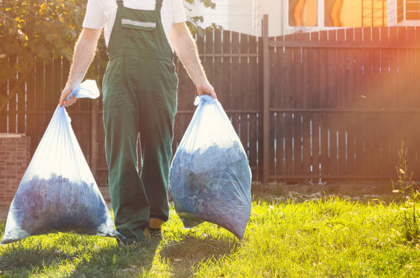 Best Local Junk Hauling  in Jacksonwald, PA