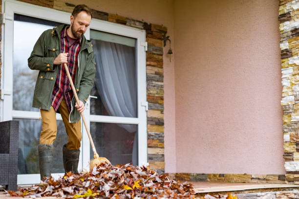 Best Basement Cleanout Services  in Jacksonwald, PA